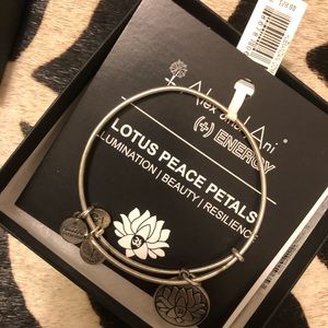 Alex and Ani bangle bracelet